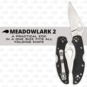 Spyderco Meadowlark 2 Folding Pocket Knife with 2" 8Cr13MoV and G-10 Handle - PlainEdge - BY04GP2
