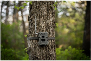 SPYPOINT Flex-M Twin Pack Cellular Trail Cameras - Best Hunting Accessories, No WiFi Needed, GPS, Night Vision, Dual-Sim LTE, IP65 Water-Resistant Game Camera, 28MP Photos, 720p Videos + Sound (2)
