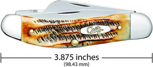 Case WR XX Pocket Knife 6.5 Bonestag Sowbelly Item #65313 - (TB6.5339 SS) - Length Closed: 3 7/8 Inches